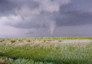 tor1b990520z.jpg (6914 bytes)